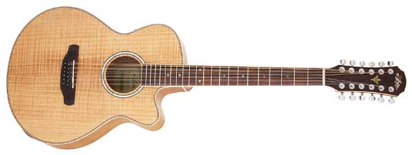 アコースティックギターの12弦ギター